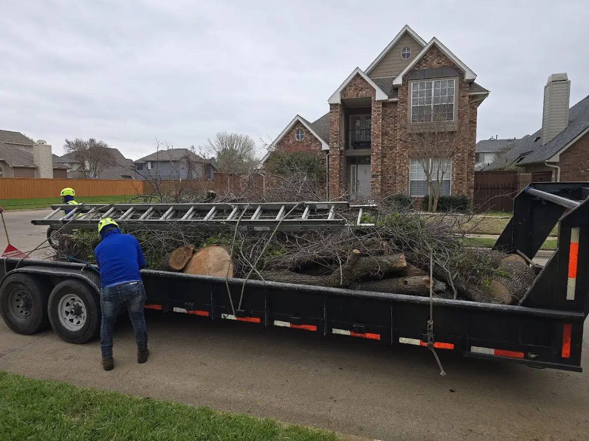 Expert Tree Pest Control with proper safety equipment in Luckey